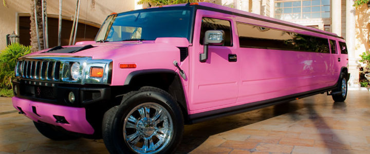 Pink hummer Party